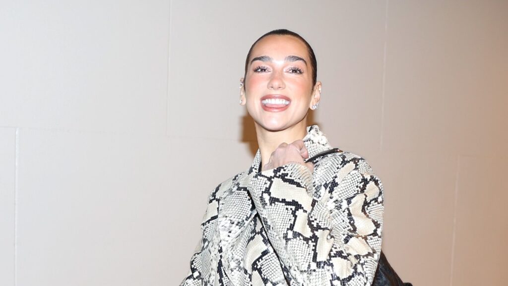 Dua Lipa’s Snake Skin Trench Coat Is on the Mood Board—7 Leather Trenches in My Cart Now